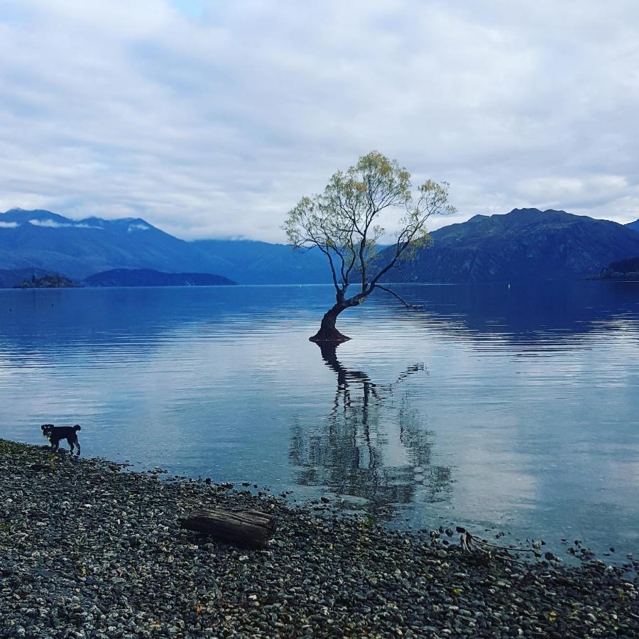 Alto On Hedditch Wanaka Bagian luar foto